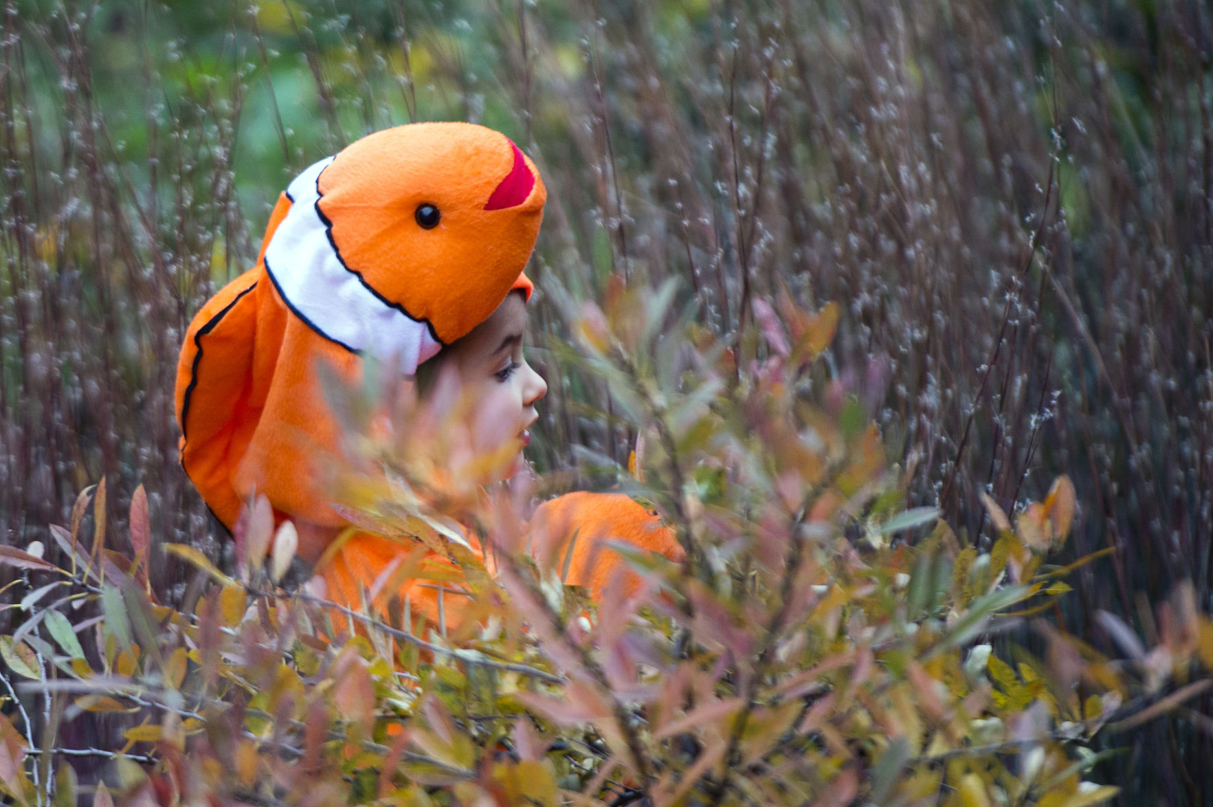 Haymarket Halloween, 10/24